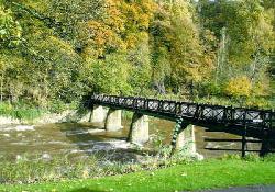 Picture of Finchale Abbey Caravan Park, Durham Picture of Finchale Abbey Caravan Park, Durham