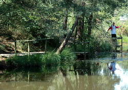 Picture of Beacon Hill Touring Park, Dorset Picture of Beacon Hill Touring Park, Dorset