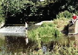 Picture of Island Meadow Caravan Park, Warwickshire