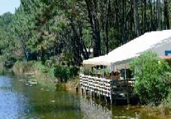 Picture of Airotel Les Viviers, Gironde