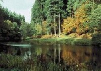Picture of Christchurch Camping And Caravan Site, Gloucestershire