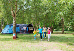 Picture of Wild Duck Holiday Park, Norfolk, East England Picture of Wild Duck Holiday Park, Norfolk, East England