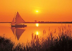 Picture of Norfolk Broads Caravan Park, Norfolk Picture of Norfolk Broads Caravan Park, Norfolk