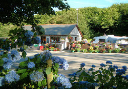 Picture of Cae Mawr Caravan Club Site, Isle of Anglesey, Wales Picture of Cae Mawr Caravan Club Site, Isle of Anglesey, Wales