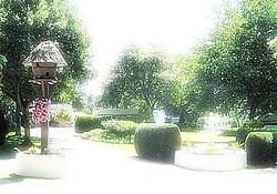 Dove Cot Dove Cot