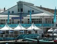 Picture of Gurnard Pines Holiday Village, Isle of Wight Picture of Gurnard Pines Holiday Village, Isle of Wight