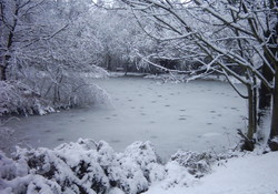 Picture of Reynard Crag Holiday Park, North Yorkshire, North of England