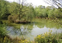 Picture of Reynard Crag Holiday Park, North Yorkshire