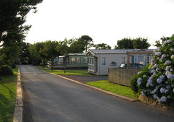 Picture of Globe Vale Holiday Park, Cornwall, South West England