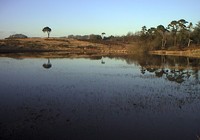 Picture of Old Down Touring Park, Somerset